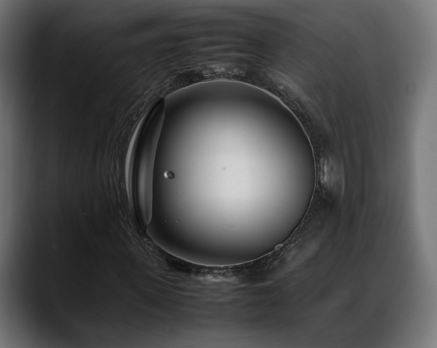 X0000088580915200705251135