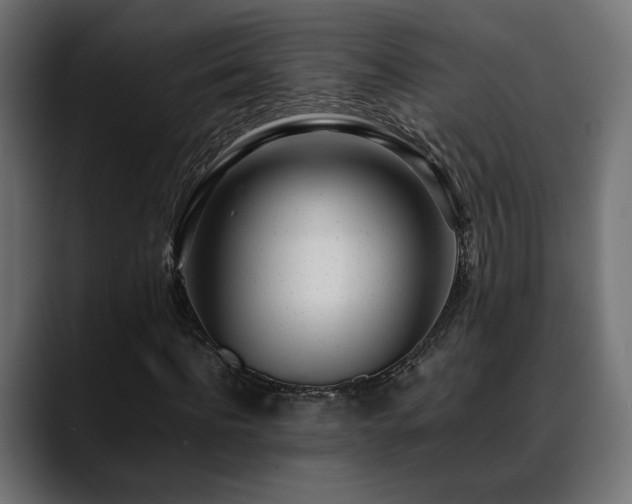 X0000088580916200705251135