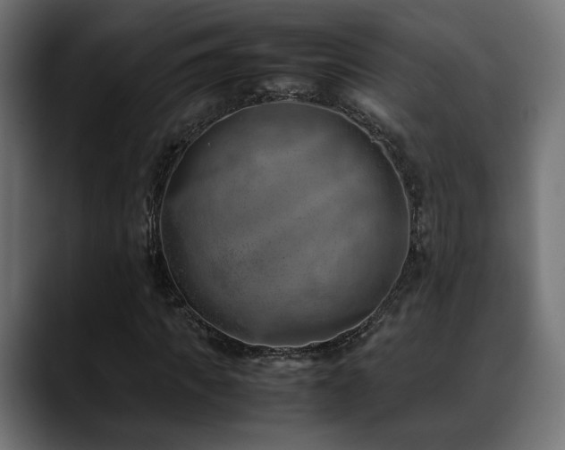X0000088580917200705251135