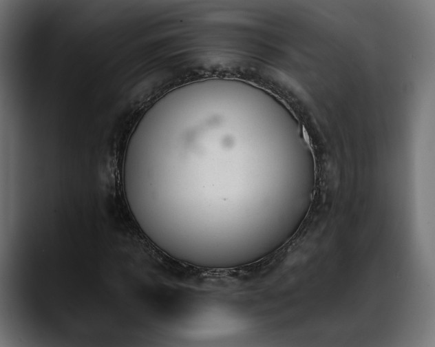 X0000088580918200705251135