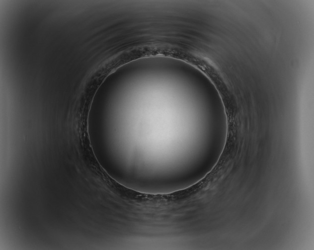X0000088580919200705251135