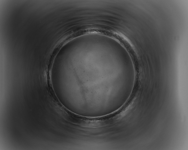 X0000088580921200705251135