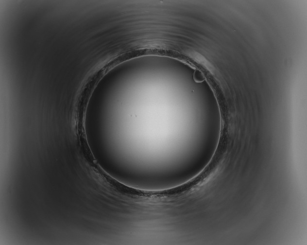 X0000088580922200705251135