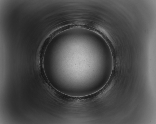 X0000088580923200705251135