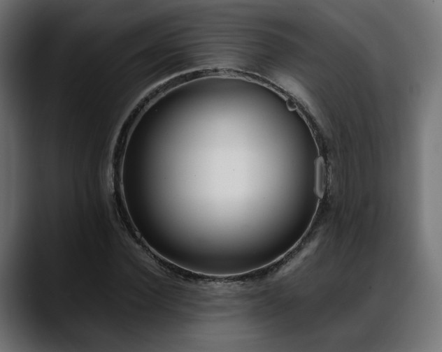 X0000088580924200705251135
