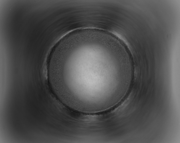 X0000088580925200705251135