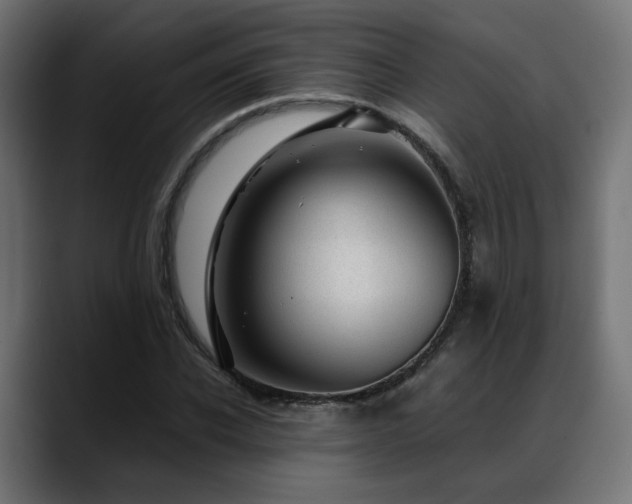 X0000088580926200705251135