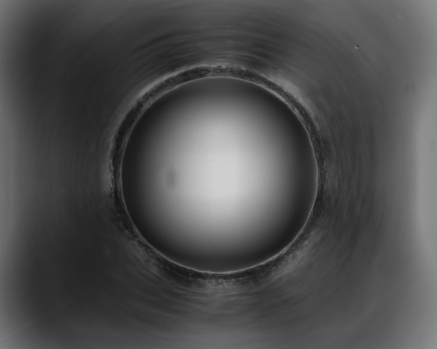 X0000088580927200705251135