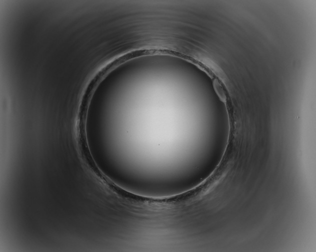 X0000088580928200705251135