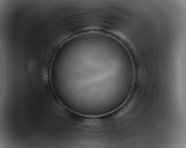 X0000088580929200705251135