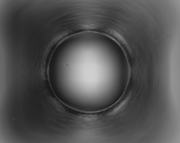 X0000088580930200705251135