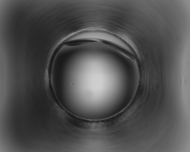 X0000088580936200705251135