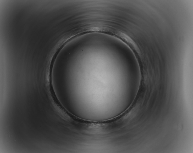 X0000088580938200705251135