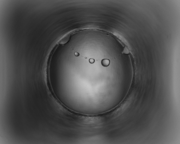 X0000088580941200705251135