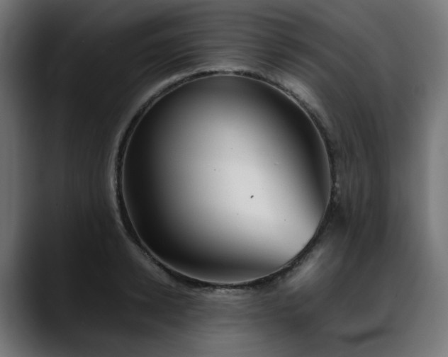 X0000088580942200705251135