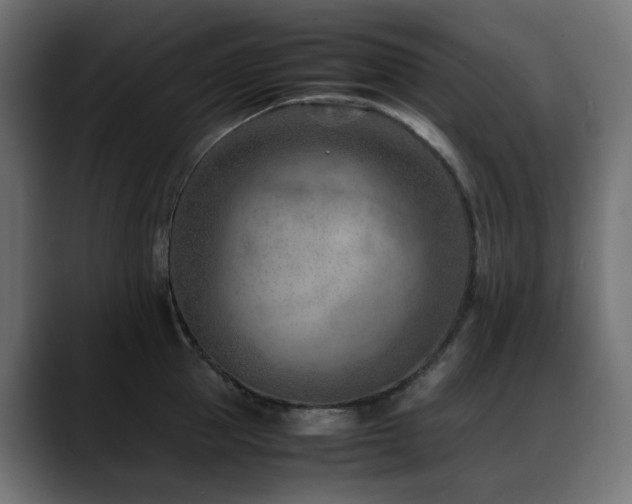X0000088580953200705251135