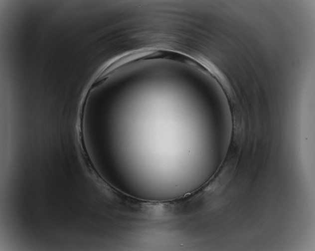 X0000088580956200705251135