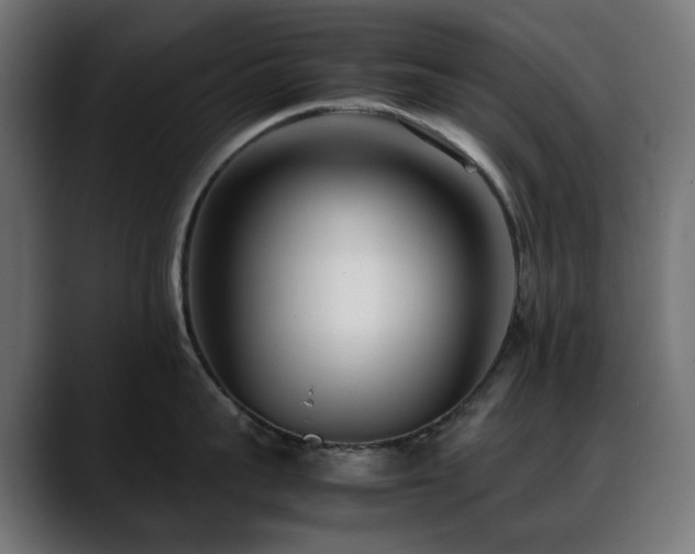 X0000088580959200705251135