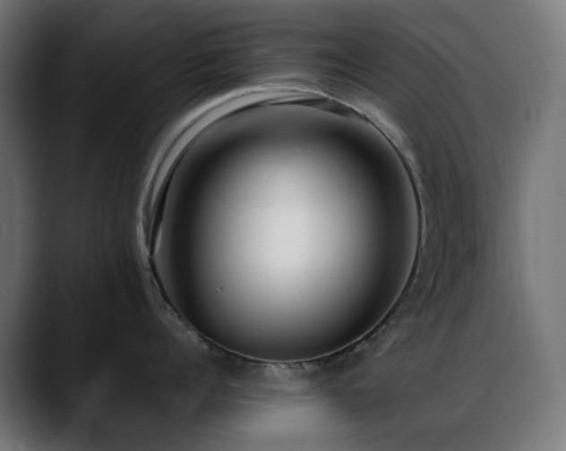 X0000088580960200705251135