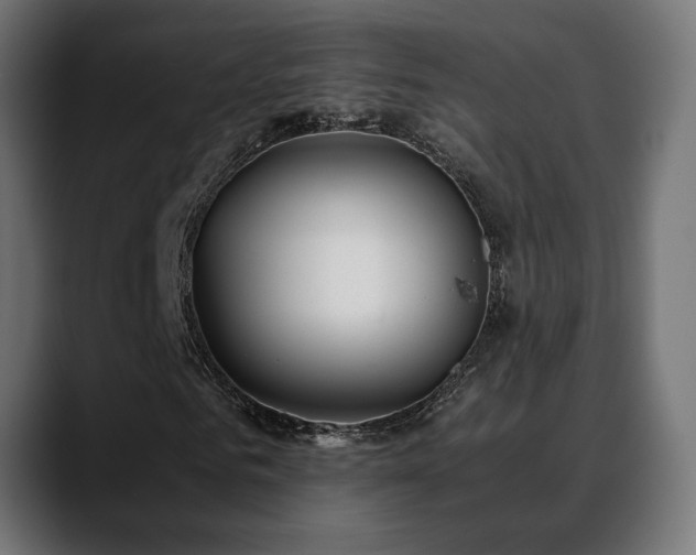 X0000088580961200705251135