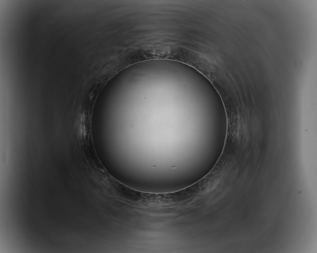 X0000088580962200705251135
