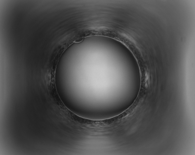 X0000088580966200705251134