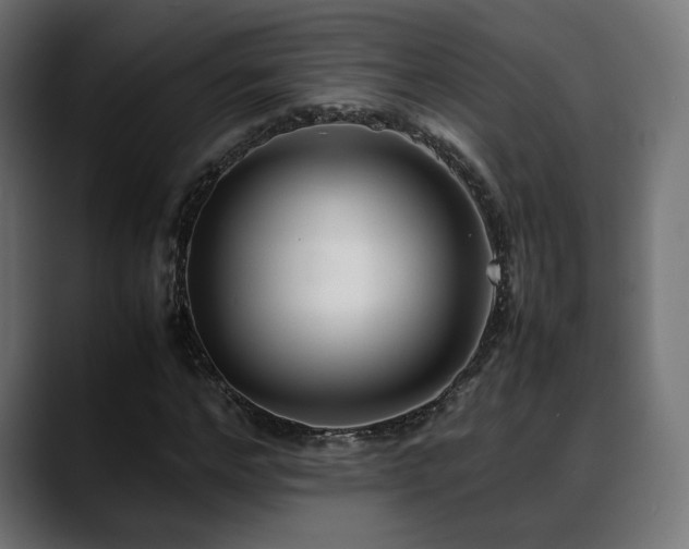 X0000088580968200705251134