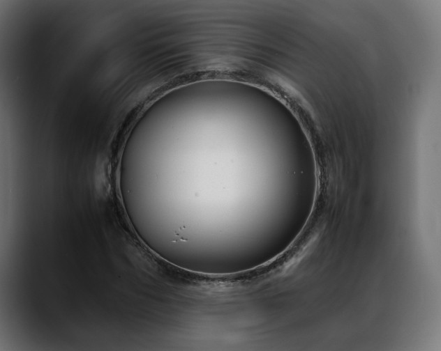 X0000088580970200705251134