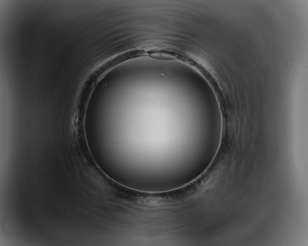 X0000088580971200705251134