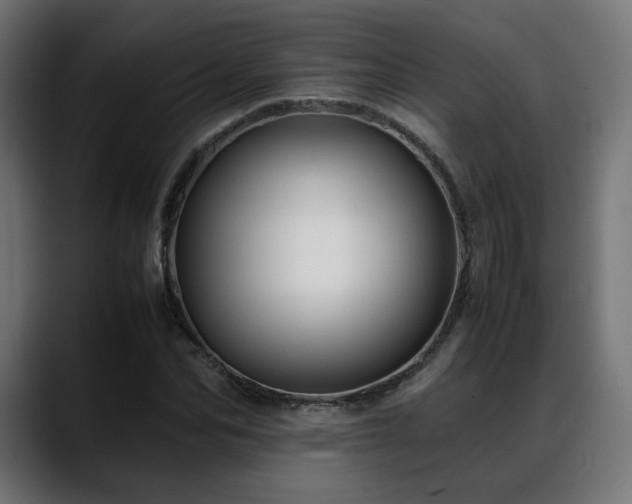 X0000088580974200705251134