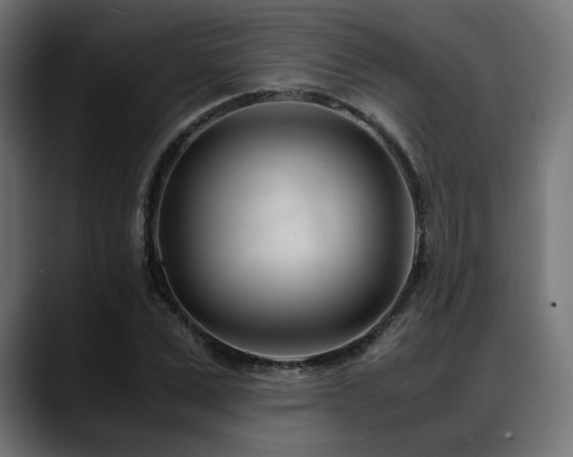 X0000088580975200705251134