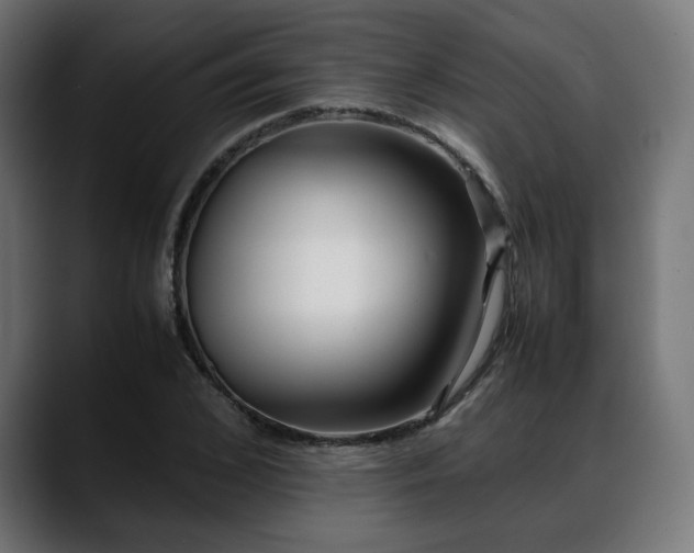 X0000088580976200705251134