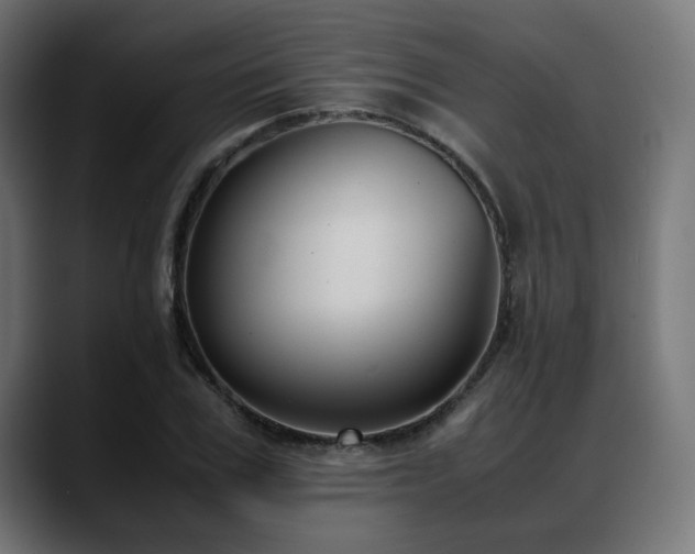 X0000088580979200705251134