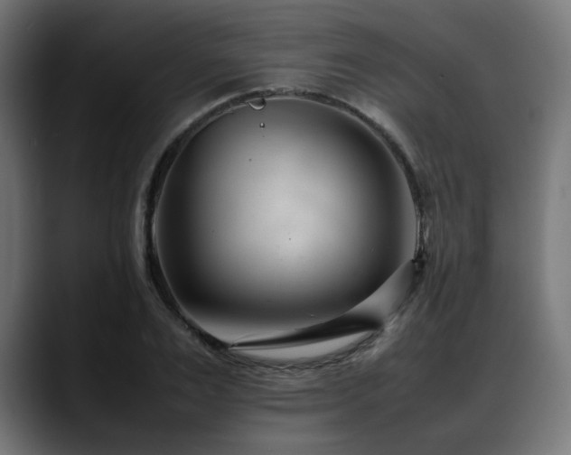 X0000088580983200705251134