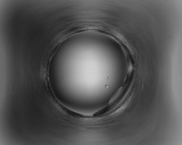 X0000088580985200705251134