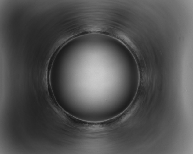 X0000088580986200705251134