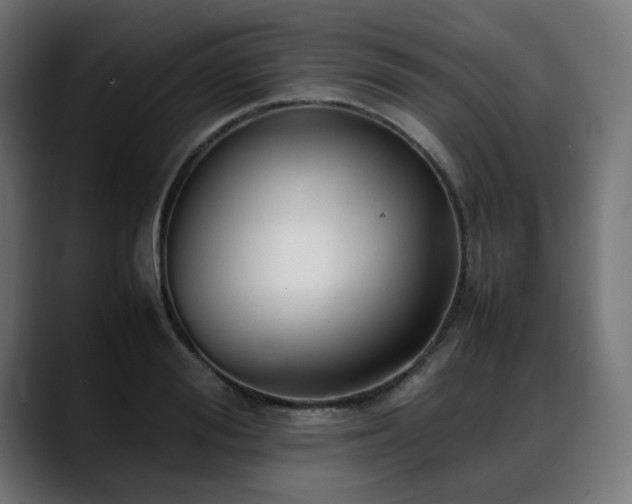 X0000088580988200705251134