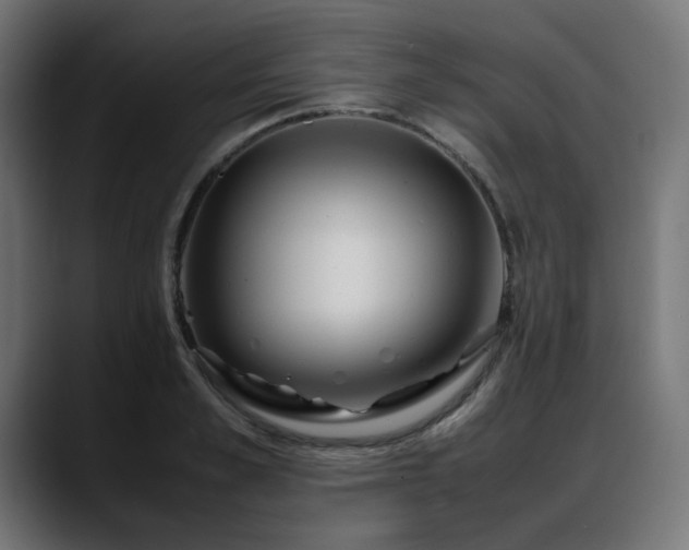 X0000088580989200705251134
