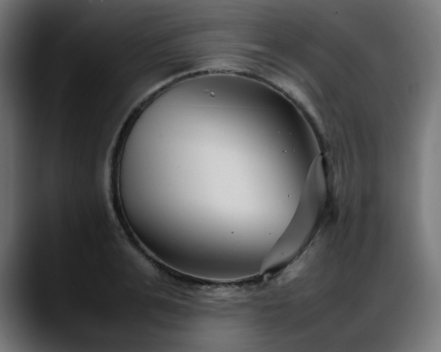 X0000088580991200705251134