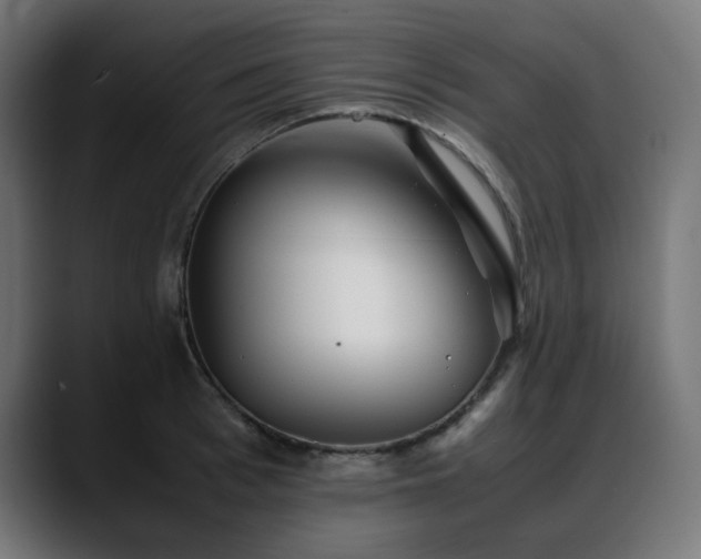X0000088580993200705251134