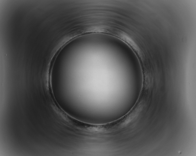 X0000088580994200705251134