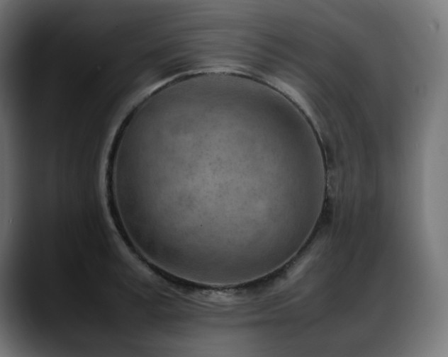 X0000088580995200705251134
