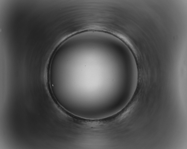X0000088580999200705251134