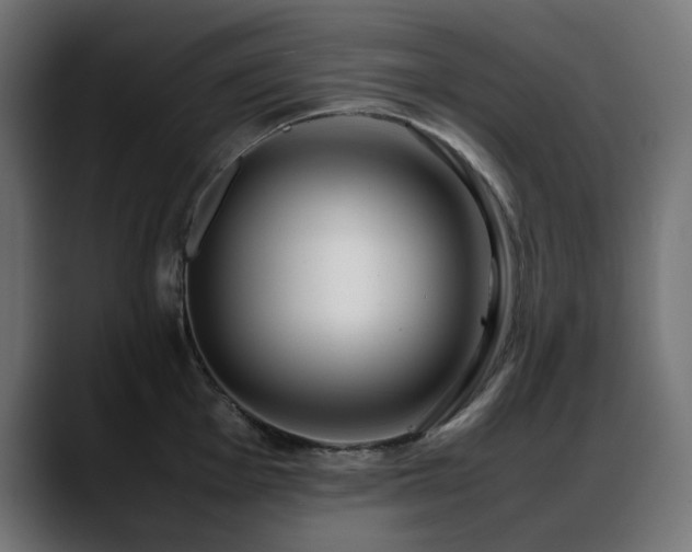 X0000088581001200705251134