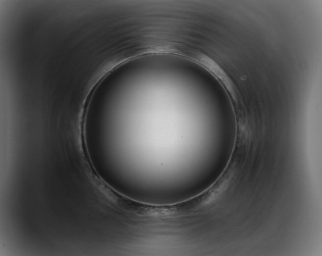 X0000088581002200705251134