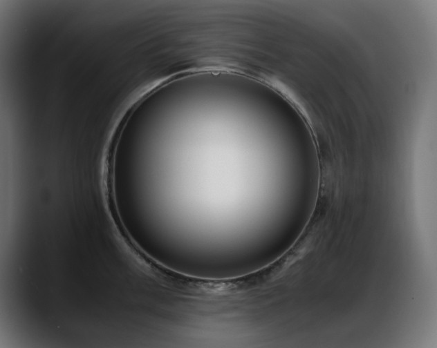 X0000088581003200705251134