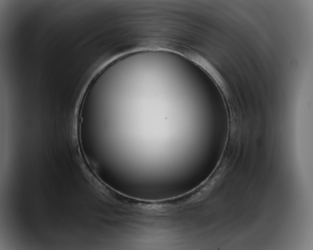 X0000088581004200705251134