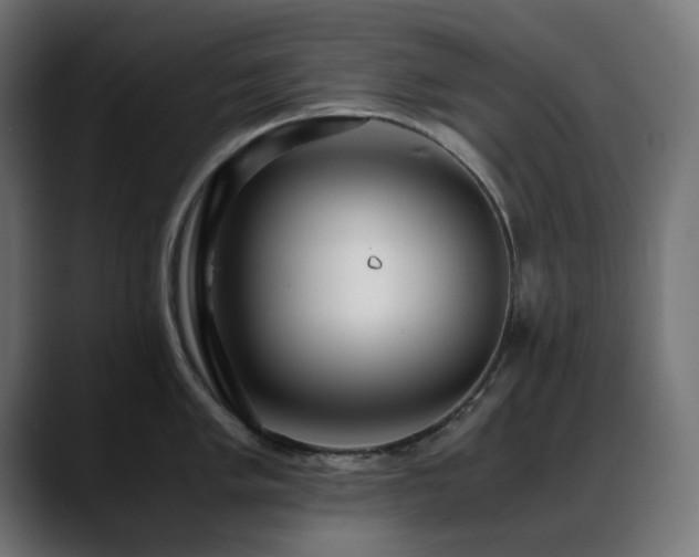 X0000088581005200705251134