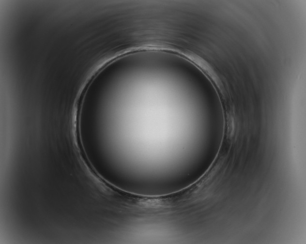 X0000088581006200705251134