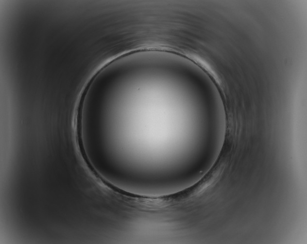 X0000088581007200705251134